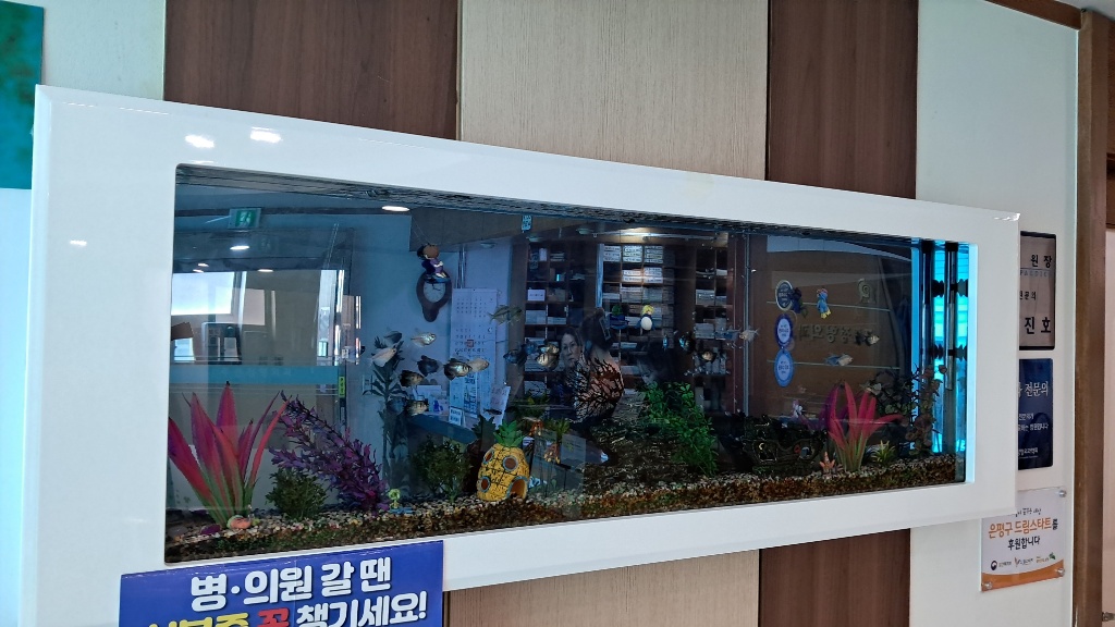 청소 전 - 정기 방문 청소 및 수질 개선