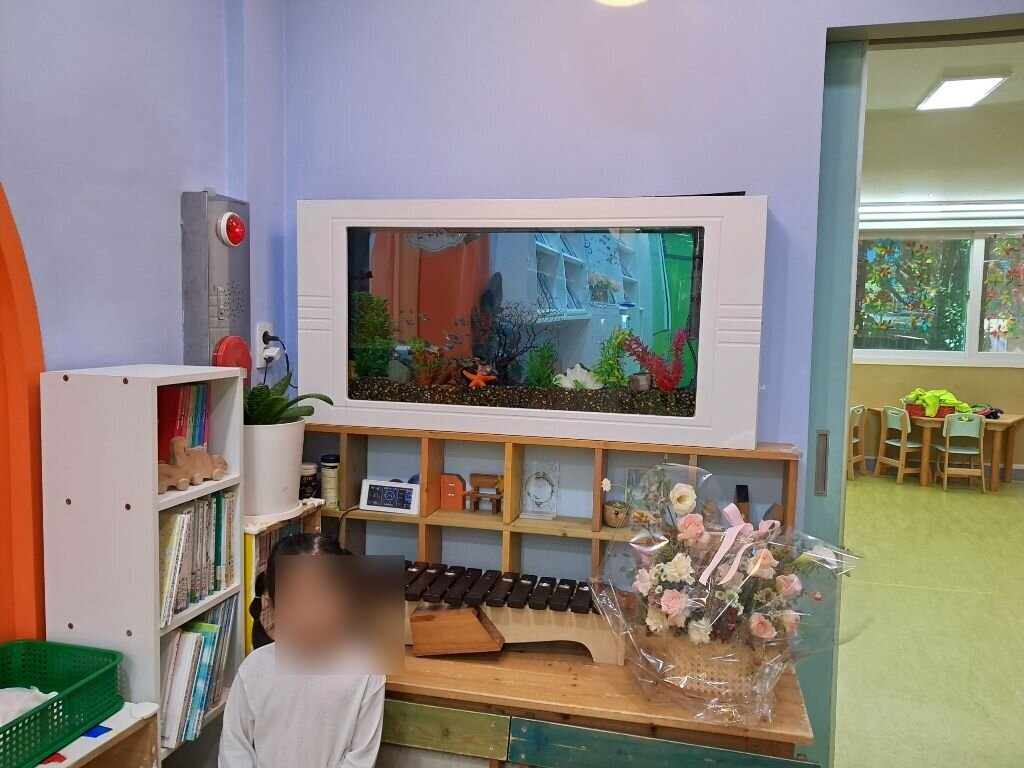 청소 후 - 유치원 벽걸이 수족관 전체 청소 및 수질 관리