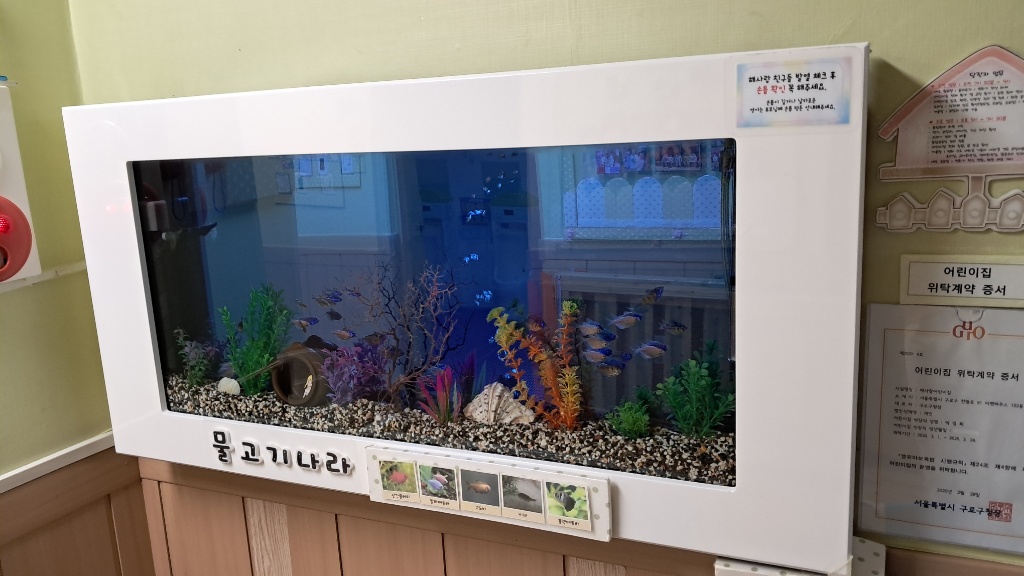 어린이집 복도 벽걸이 수족관