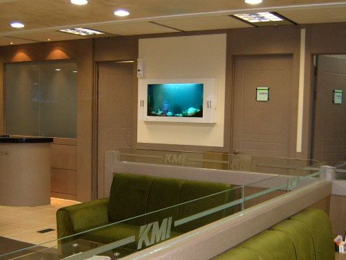 사무실 대기실 벽걸이 수족관
